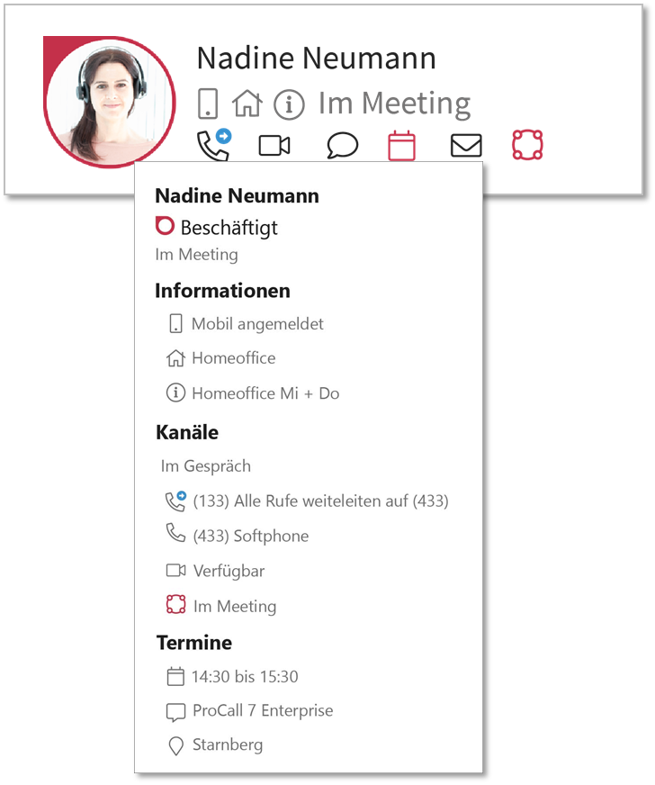 ProCall Client für Windows - Aktionsleiste mit Tooltipp bei Mouse over - im Meeting
